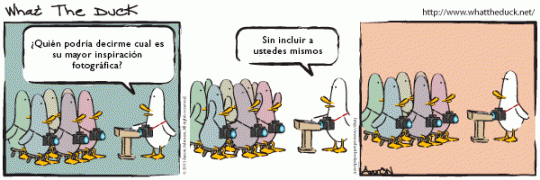 What the Duck en español